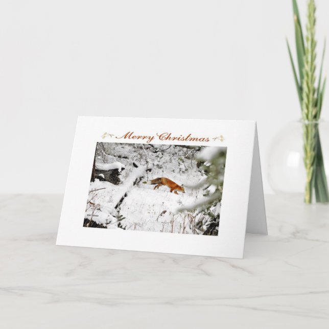 Fox in winter snow photo Christmas card (Front)
