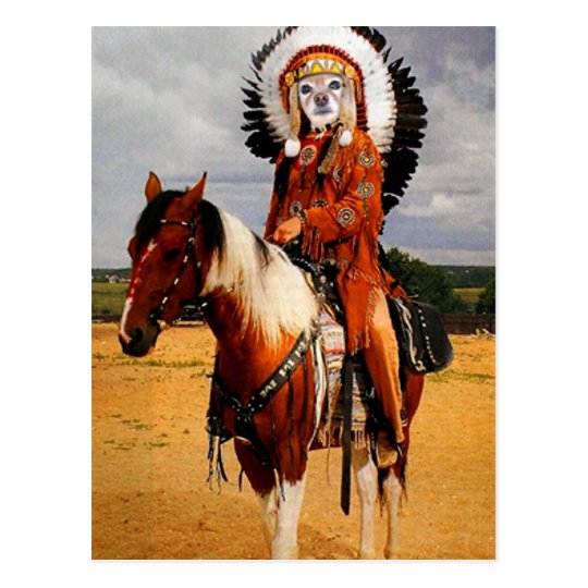 Fox Is An Indian Chief Postcard