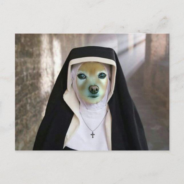 Fox Is Another Nun Postcard (Front)