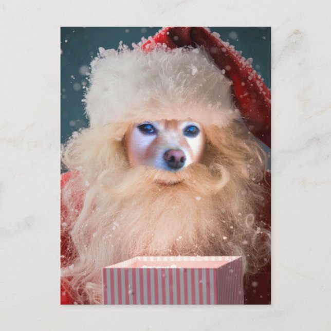 Fox Is Santa With A Gift Holiday Postcard (Front)