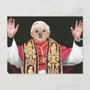 Fox is the Pope Postcard