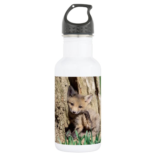 Fox Kit in the Hudson Valley 532 Ml Water Bottle (Front)