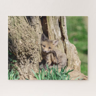 Fox Kit in the Hudson Valley Jigsaw Puzzle