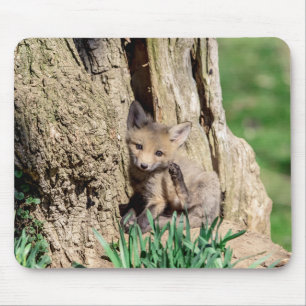 Fox Kit in the Hudson Valley Mouse Mat