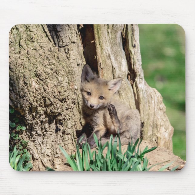 Fox Kit in the Hudson Valley Mouse Mat (Front)