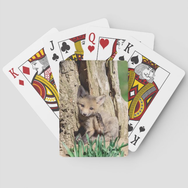 Fox Kit in the Hudson Valley Playing Cards (Back)