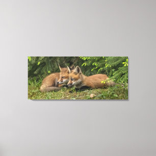Fox Kit Pals Canvas Print
