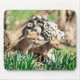 Fox Kits in the Hudson Valley Mouse Mat