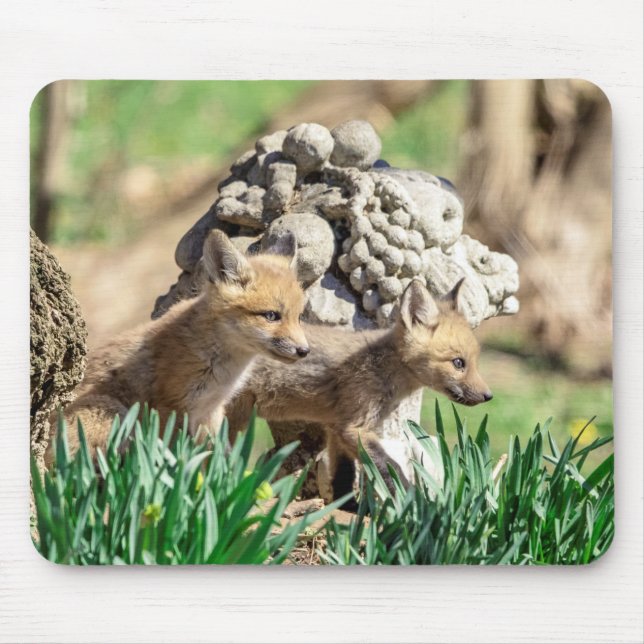 Fox Kits in the Hudson Valley Mouse Mat (Front)