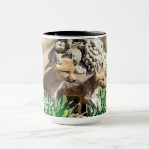 Fox Kits in the Hudson Valley Mug