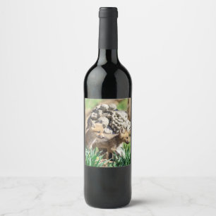 Fox Kits in the Hudson Valley Wine Label