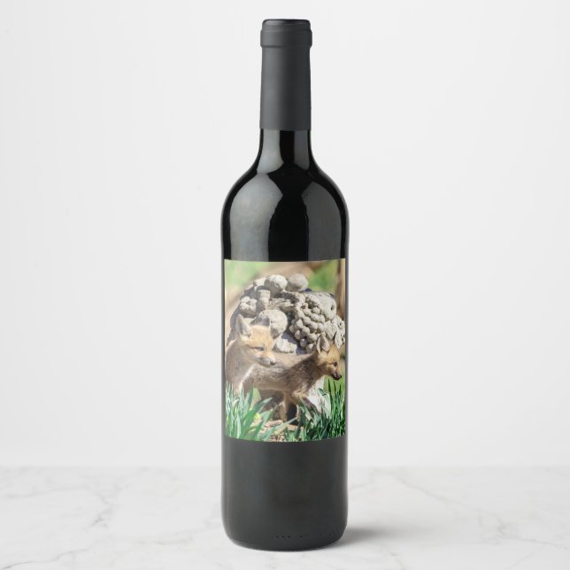 Fox Kits in the Hudson Valley Wine Label (Front)