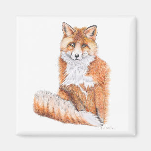 Fox Magnet