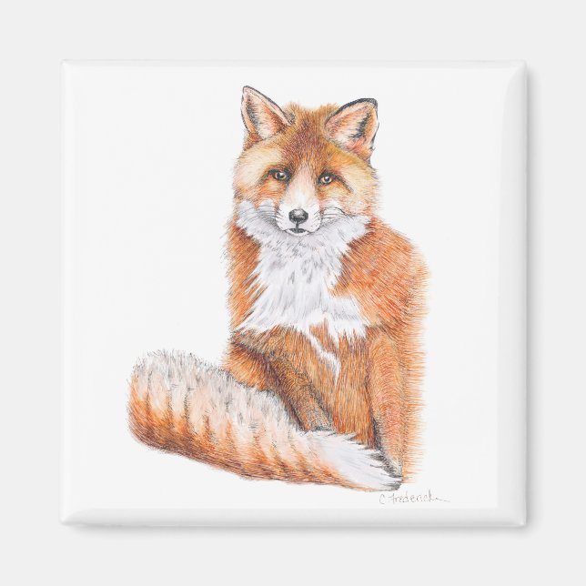 Fox Magnet (Front)