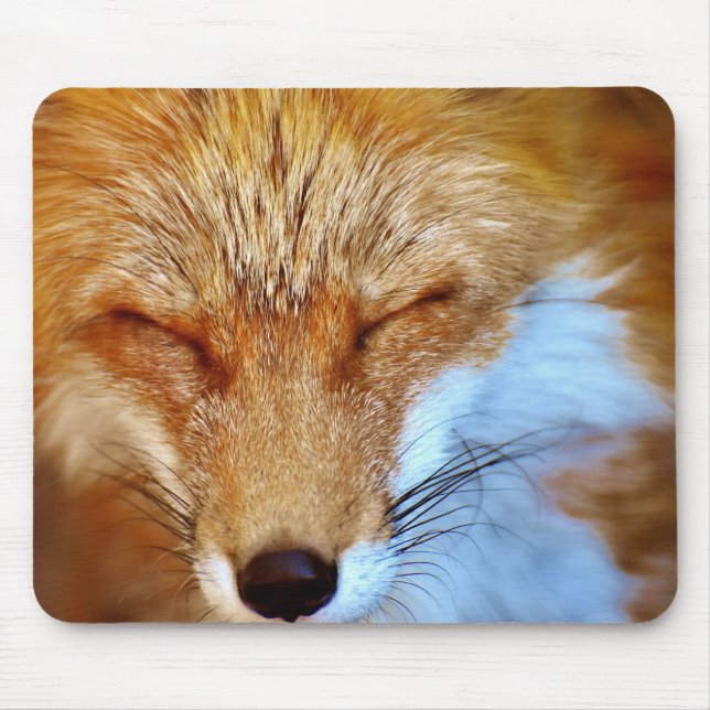 Fox Mouse Mat (Front)