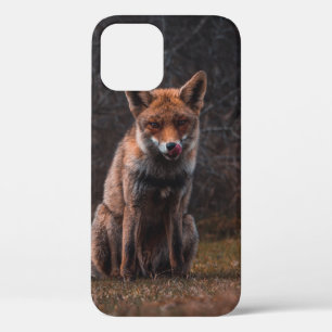 FOX ON GRASS FIELD iPhone 12 CASE