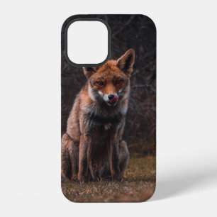 FOX ON GRASS FIELD iPhone 12 CASE