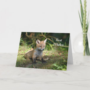 Fox Photo Congratulations Wedding Card