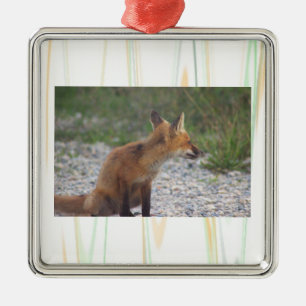 Fox Photo Ornament 