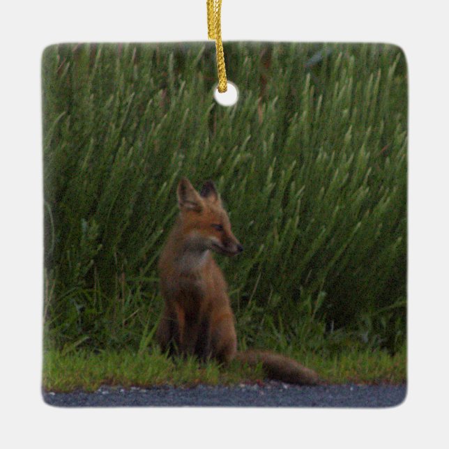 Fox Photo Ornament  (Front)