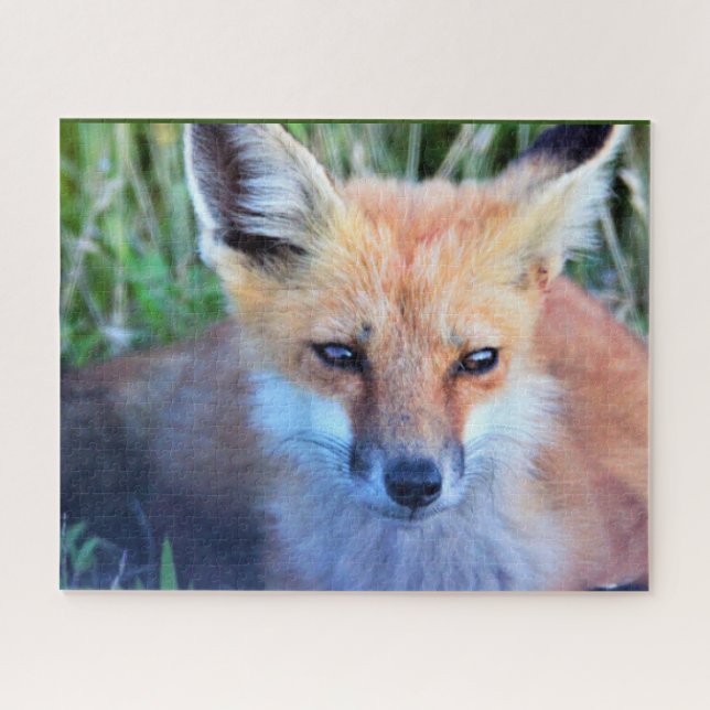 Fox Photo Puzzle (Horizontal)