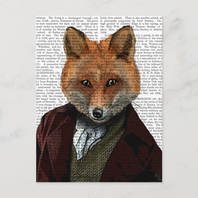 Fox Portrait 2 Postcard (Front)