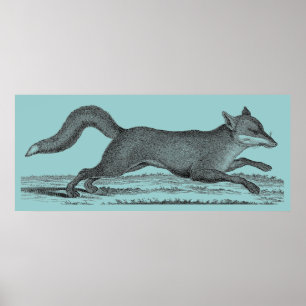 Fox Poster