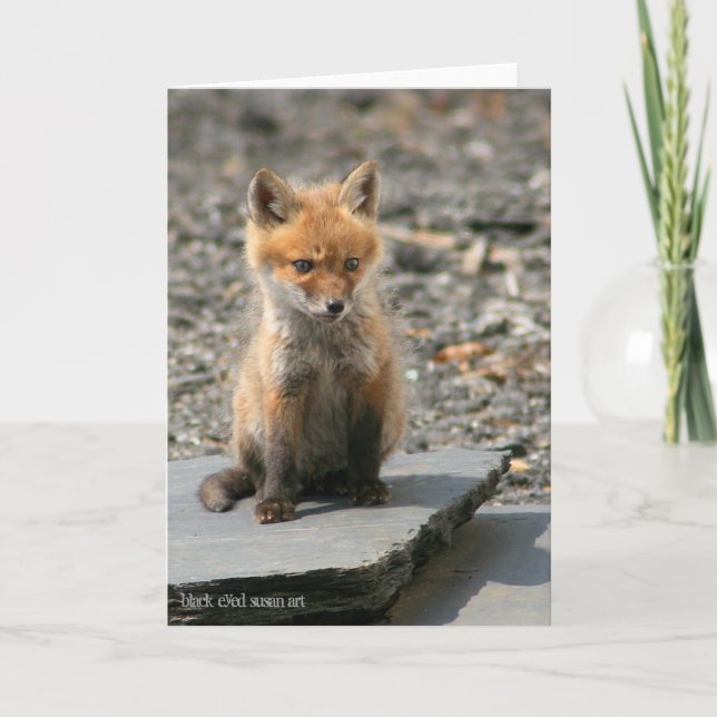 Fox Pup Card (Front)