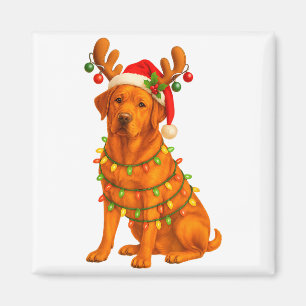 Fox Red Lab Christmas Tree Light Pajama Labrador D Magnet