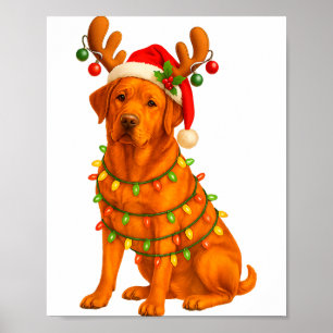 Fox Red Lab Christmas Tree Light Pajama Labrador D Poster
