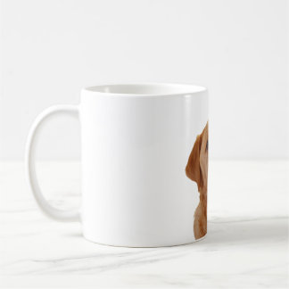Fox red Labrador Cup