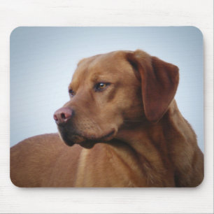 Fox Red Labrador Gundog Mouse Mat