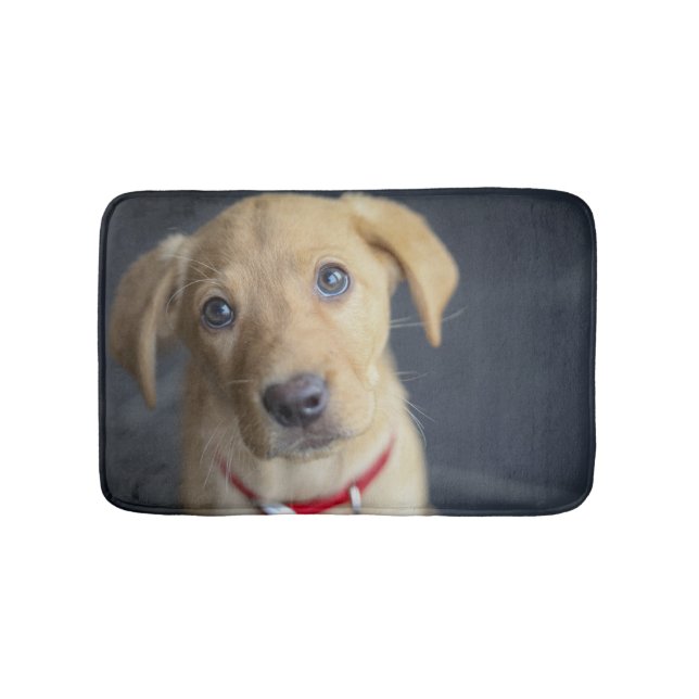 Fox Red Labrador Puppy Bath Mat (Front)