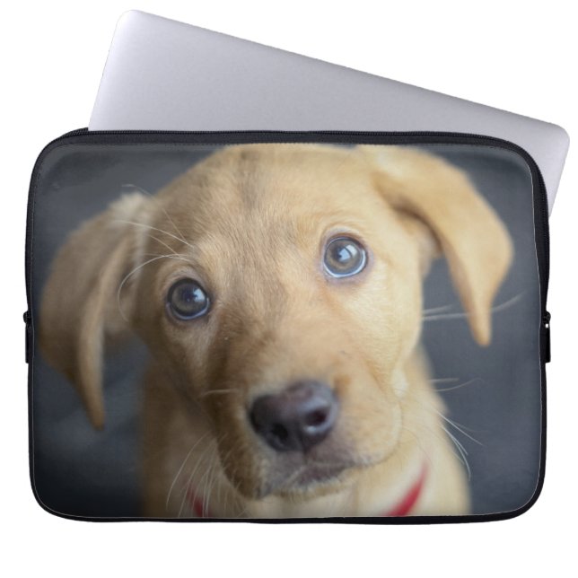 Fox Red Labrador Puppy Laptop Sleeve (Front)