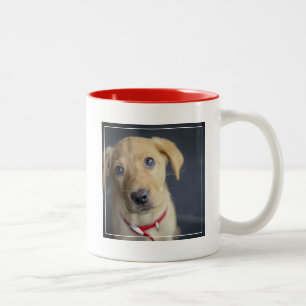 Fox Red Labrador Puppy Two-Tone Coffee Mug