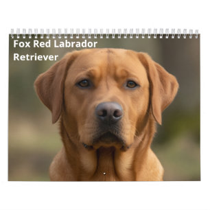 Fox Red Labrador Retriever 2027 Wall Calendar