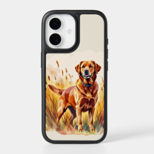 Fox Red Labrador Retriever Dog