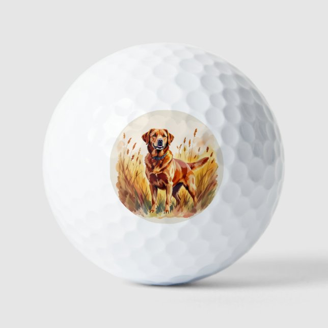 Fox Red Labrador Retriever Dog Golf Balls (Front)
