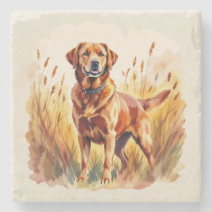 Fox Red Labrador Retriever Dog Stone Coaster