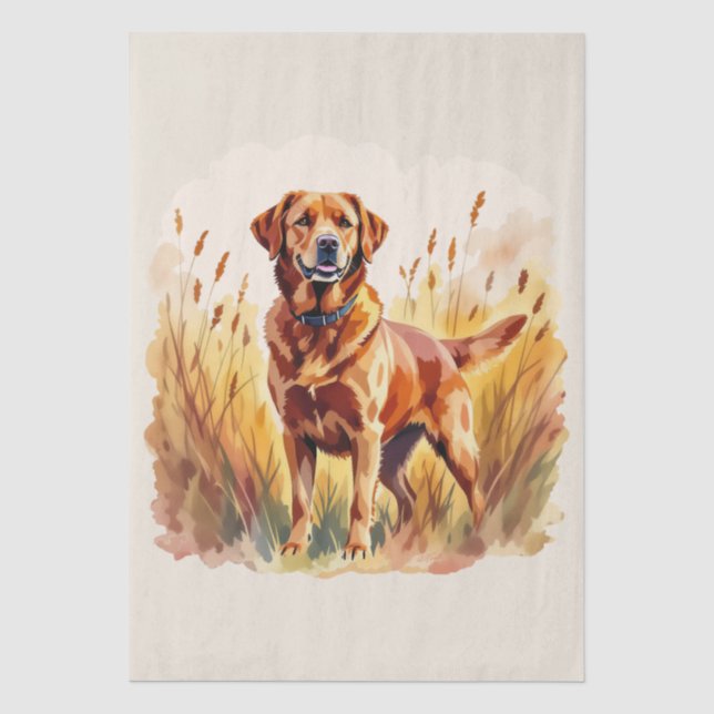 Fox Red Labrador Retriever Dog Tissue Paper (Front)
