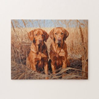 Fox red labrador retrievers jigsaw puzzle