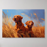 Fox red labrador retrievers