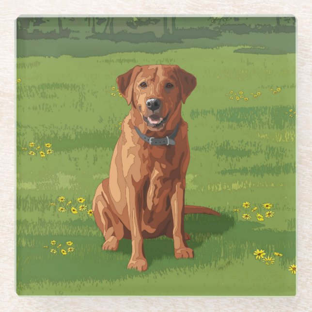 Fox Red Yellow Labrador Retriever Dog Glass Coaster (Front)