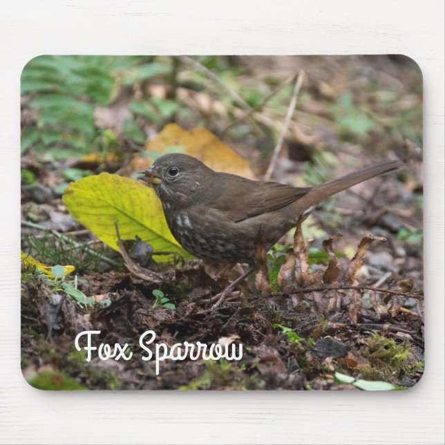 Fox Sparrow Mouse Mat (Front)