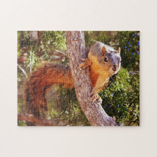 Fox Squirrel Close Up Nature Animal Puzzle