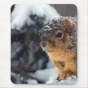 Fox Squirrel in Winter Mouse Mat
