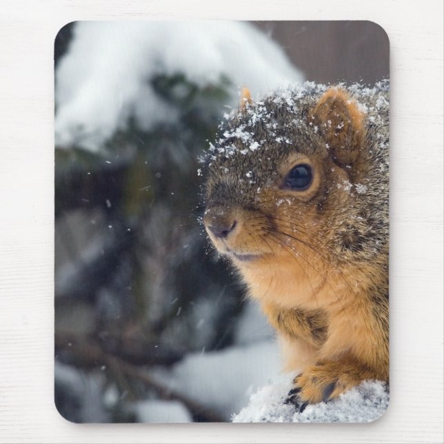 Fox Squirrel in Winter Mouse Mat (Front)