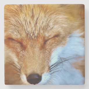 Fox Stone Coaster
