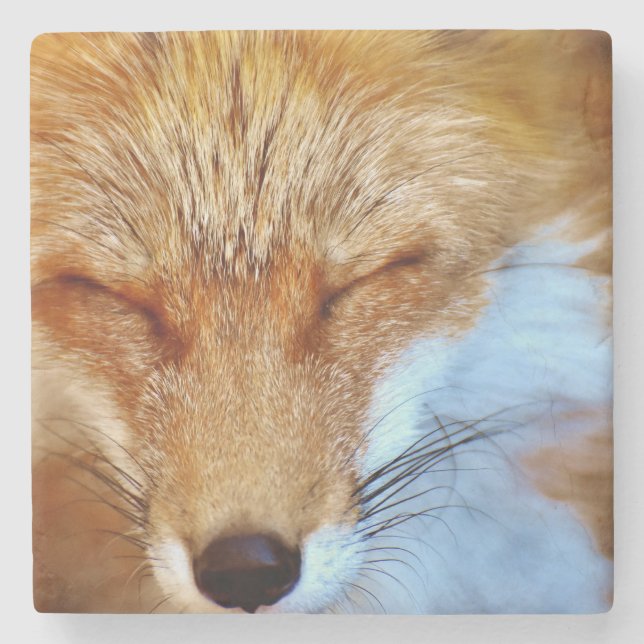 Fox Stone Coaster (Front)