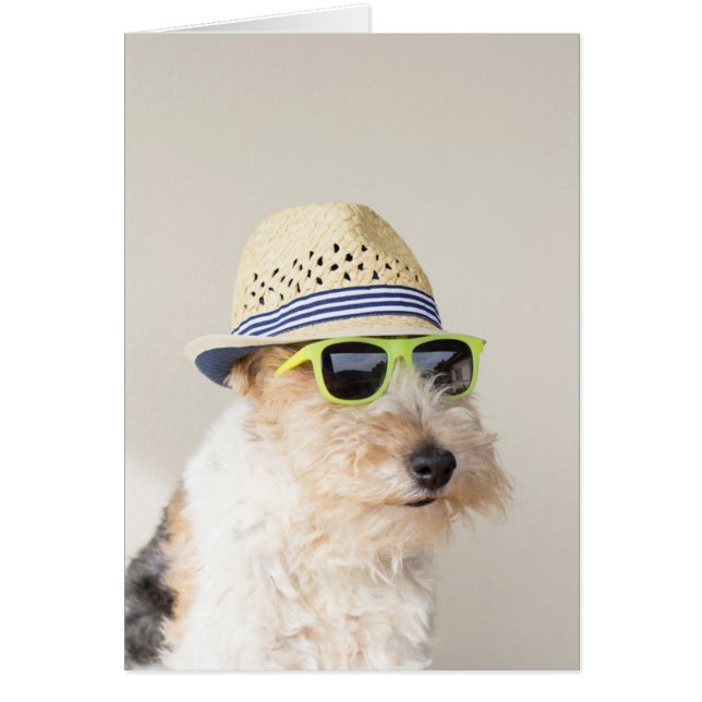 Fox Terrier (Front)